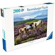 Ravensburger Divocí koně Puzzle 2000 dílků