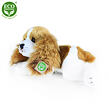 Rappa Plyšový pes Kavalier King Charles španiel ležiaci 30 cm ECO-FRIENDLY