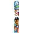 Günther Paw Patrol Drak