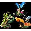 LEGO® Ideas 21342 Zbierka hmyzu