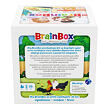 BrainBox Domácí maznáčikovia SK