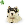 Plyšový vlk ležiaci 35 cm ECO-FRIENDLY