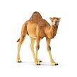 Schleich Dromedár