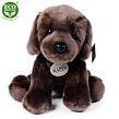RAPPA Plyšový pes labrador sediaci 26 cm ECO-FRIENDLY