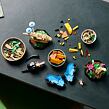 LEGO® Ideas 21342 Zbierka hmyzu
