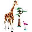 LEGO® Creator 3 v 1 31150 Divoké zvieratá zo safari