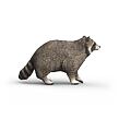 Schleich Mýval