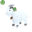 Plyšový cap/koza 20 cm ECO-FRIENDLY