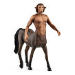 Schleich Firenze