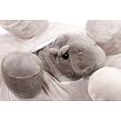 Sleepwell Hrošia rodinka 40 cm