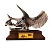 Albi Science Lovci Lebek - Triceratops