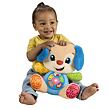 Fisher Price Smart Stages Mluvící pejsek CZ/SK/EN/HU/PL