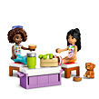 LEGO® Friends 42659 Výlet v autě s přáteli