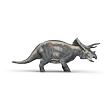 Schleich Triceratops
