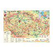 Dino Puzzle Mapa Slovenskej republiky 500 dielikov