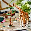 LEGO® Creator 3 v 1 31150 Divoké zvieratá zo safari