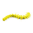 Rappa Natahovací housenka 25 cm, více druhů