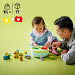 LEGO® DUPLO® 10441 Třídění tvarů: Domeček pro štěňátka