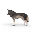 Schleich Vlk americký