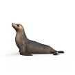 Schleich Uškatec