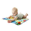 Fisher Price Aktivní dečka na cesty