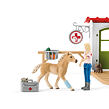 Schleich Veterinárna ordinácia pre domáce zvieratá
