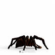 Schleich Aragog