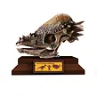 Albi Science Lovci Lebek - Pachycephalosaurus