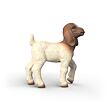Schleich Kozle búrske kozy