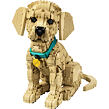 LEGO® Icons 11384 Štěně zlatého retrívra